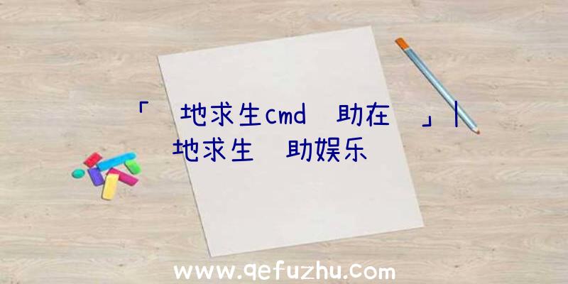 「绝地求生cmd辅助在线」|绝地求生辅助娱乐飞车